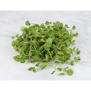 Kres salata-MG080334