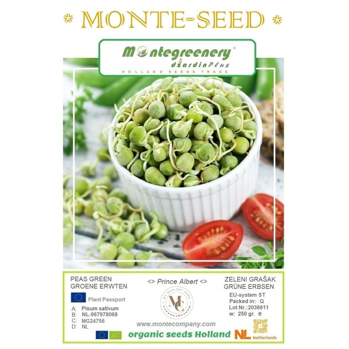 Grašak zeleni-Groene erwt - Kiemgroente Pisum sativum-MS24756
