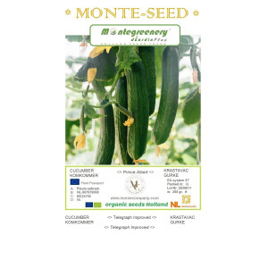 KOMKOMMER-MS-MONTE-SEED-123