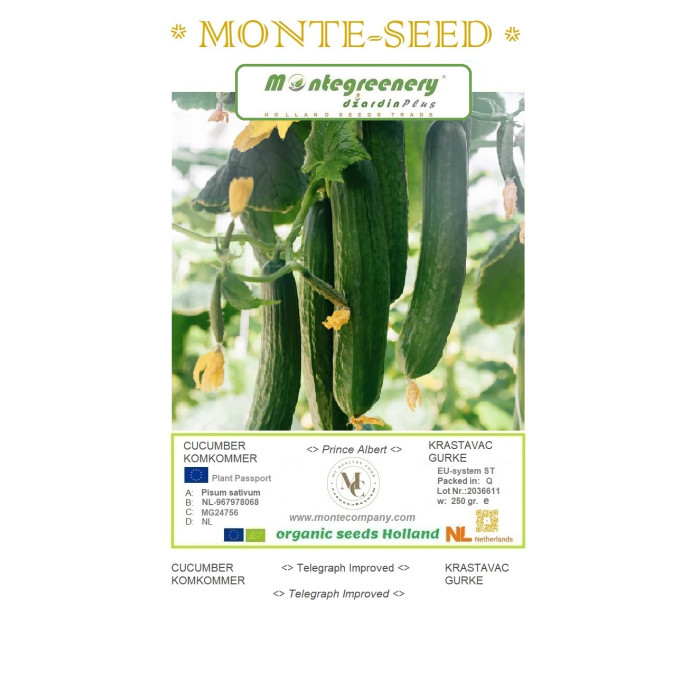 KOMKOMMER-MS-MONTE-SEED-123