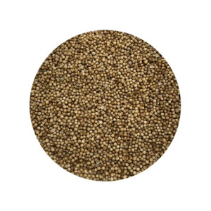 Coriander...