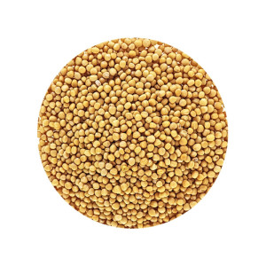 Senf-Mustard Seed Whole...