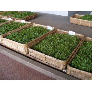 copy of Matcha prah...