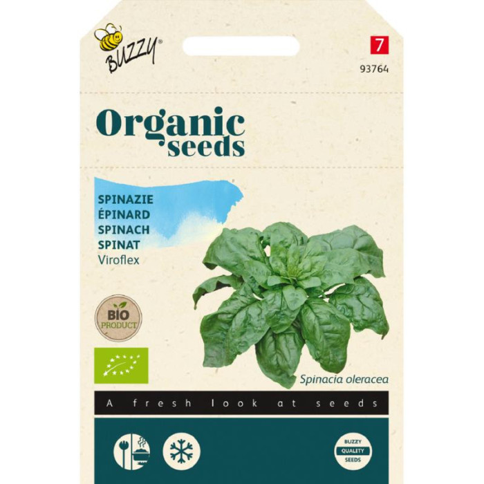 Spanać-zimski krupni-Spinazie Winterreuzen 50g (BIO)-BO93764