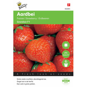 Jagode-Gardian F1-Buzzy®...