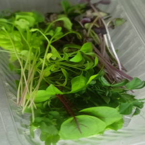 GreenMix - Specijalna...