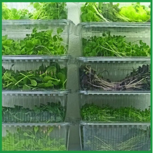 GreenMix - Specijalna...