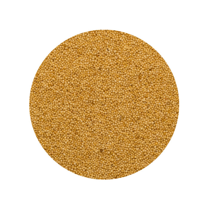 Amarant-Amaranth Zaden heel Biologisch-VG45140