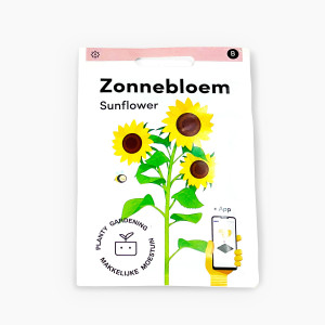 Suncokret-Zonnebloem-MM-exc...