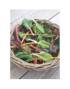 Leafy greens
